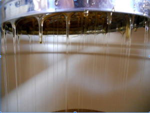 Hot Water Tank Leaking? Causes and Solutions
